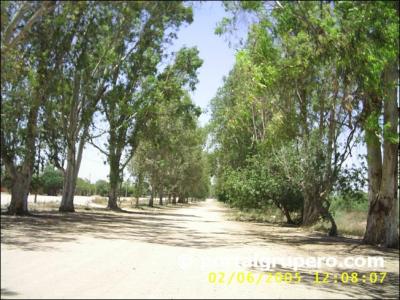 ====  eeEELL    BuLee====