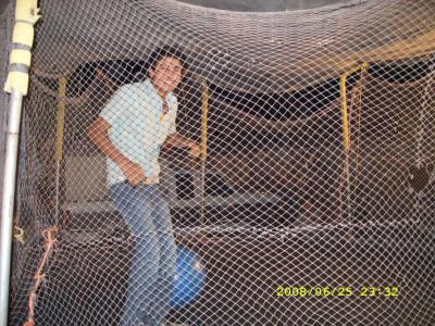 " En El Brinca Brinca "